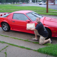 Image for article titled Papa John's Gave Away 35,847 Free Pizzas To Camaro Owners Yesterday!